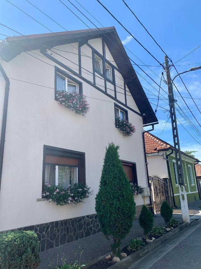 Pensiunea Stoian Cristian (Brasov) Exterior foto